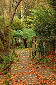 YORK GATE GARDEN, YORKSHIRE: AUTUMN, FALL, VIEW INTO THE DELL, LEAVES, FOLIAGE, GATE, PATHS, DICKSONIA ANTARCTICA, TREE FERN, TREES