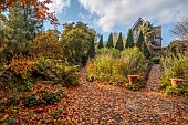 YORK GATE GARDEN, YORKSHIRE: AUTUMN, FALL, TREES, CANAL GARDEN, LEAVES, FOLIAGE, RILL, RAISED WATER FEATURE, PATH, FERNS, CLIPPED TIOPIARY, YEW, SAILS, CARPET PATH