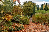 YORK GATE GARDEN, YORKSHIRE: AUTUMN, FALL, TREES, CANAL GARDEN, LEAVES, FOLIAGE, RILL, RAISED WATER FEATURE, PATH, FERNS, CLIPPED TIOPIARY, YEW, SAILS