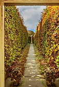 YORK GATE GARDEN, YORKSHIRE: AUTUMN, FALL, DOORWAY, PATH, BARLEYSUGAR COLUMN, SUNDIAL, BEECH HEDGES, HEDGING, FOCAL POINT