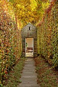 YORK GATE GARDEN, YORKSHIRE: AUTUMN, FALL, DOORWAY, PATH, BEECH HEDGES, HEDGING, FOCAL POINT, GARDEN ROOM, BUILDING, SUMMERHOUSE