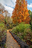 YORK GATE GARDEN, YORKSHIRE: AUTUMN, FALL, TREES, FOLIAGE, THE CARPET PATH, PATHS, GAZEBO, OPHIOPOGON PLANISCAPUS NIGRESCENS, LEAVES