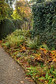 YORK GATE GARDEN, YORKSHIRE: AUTUMN, FALL, HEDGES, HEDGING, STUMPERY, STUMPS, TREES