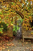 YORK GATE GARDEN, YORKSHIRE: AUTUMN, FALL, PATH, METAL GATE, MAGNOLIA, TREES, LEAVES, WOODEN BENCH, SEAT
