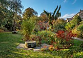YORK GATE GARDEN, YORKSHIRE: AUTUMN, FALL, THE POND GARDEN, WATER, STONE CONTAINER, TREES, FOLIAGE, LAWN