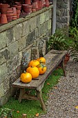 YORK GATE GARDEN, YORKSHIRE: AUTUMN, FALL, POTAGER, VEGETABLE GARDEN, WOODEN BENCH, SEAT, PUMPKINS