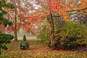 JOHN MASSEY GARDEN, ASHWOOD NURSERIES, WORCESTERSHIRE, FALL, AUTUMN, OCTOBER. STONE URN, LAWN, CLIPPED TOPIARY HOLLY, ILEX AQUIFOLIUM SIBERIA, LIQUIDAMBAR WORPLESDON, SWEET GUM