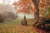 JOHN MASSEY GARDEN, ASHWOOD NURSERIES, WORCESTERSHIRE, FALL, AUTUMN, OCTOBER. STONE URN, LAWN, CLIPPED TOPIARY HOLLY, ILEX AQUIFOLIUM SIBERIA, LIQUIDAMBAR WORPLESDON, SWEET GUM