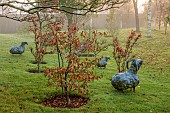JOHN MASSEY GARDEN, ASHWOOD NURSERIES, WORCESTERSHIRE, FALL, AUTUMN, OCTOBER, LAWN, METAL SHEEP SCULPTURES