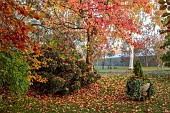 JOHN MASSEY GARDEN, ASHWOOD NURSERIES, WORCESTERSHIRE, FALL, AUTUMN, OCTOBER. STONE URN, LAWN, CLIPPED TOPIARY HOLLY, ILEX AQUIFOLIUM ALASKA, LIQUIDAMBAR WORPLESDON, SWEET GUM