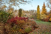 JOHN MASSEY GARDEN, ASHWOOD NURSERIES, WORCESTERSHIRE, FALL, AUTUMN, OCTOBER, BORDER, AUTUMN COLOUR BESIDE THE LAWN