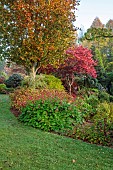 JOHN MASSEY GARDEN, ASHWOOD NURSERIES, WORCESTERSHIRE, FALL, AUTUMN, OCTOBER, BORDER, AUTUMN COLOUR BESIDE THE LAWN