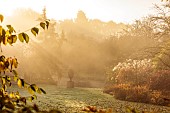 JOHN MASSEY GARDEN, ASHWOOD NURSERIES, WORCESTERSHIRE, FALL, AUTUMN, OCTOBER, TERRACOTTA URN, CONTAINER NEAR THE CANAL, LAWN, MIST, FOG, SUNRISE
