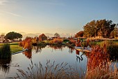 NATURAL SWIMMING POND GARDEN, ITALY BY GPT STUDIO, FALL, AUTUMN, OCTOBER, NATURAL SWIMMING POND, POOL, REFLECTIONS, REFLECTED, DIVER SCULPTURE BY LEON BRONSTEIN, SUNRISE, DECKING