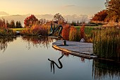 NATURAL SWIMMING POND GARDEN, ITALY BY GPT STUDIO, FALL, AUTUMN, OCTOBER, NATURAL SWIMMING POND, POOL, REFLECTIONS, REFLECTED, DIVER SCULPTURE BY LEON BRONSTEIN, SUNRISE, DECKING