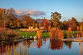 NATURAL SWIMMING POND GARDEN, ITALY BY GPT STUDIO, FALL, AUTUMN, OCTOBER, NATURAL SWIMMING POND, POOL, WATER, REFLECTIONS, REFLECTED, BORROWED LANDSCAPE, SUNRISE