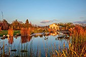 NATURAL SWIMMING POND GARDEN, ITALY BY GPT STUDIO, FALL, AUTUMN, OCTOBER, NATURAL SWIMMING POND, POOL, WATER, REFLECTIONS, REFLECTED, BORROWED LANDSCAPE, SUNRISE