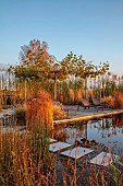 NATURAL SWIMMING POND GARDEN, ITALY BY GPT STUDIO, FALL, AUTUMN, OCTOBER, NATURAL SWIMMING POND, POOL, WATER, PLATANUS X HISPANICA, MISCANTHUS STRICTUS, DECKING, STEPPING STONES