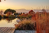 NATURAL SWIMMING POND GARDEN, ITALY BY GPT STUDIO, FALL, AUTUMN, OCTOBER, DECKING, GRASSES, PENNISETUM HAMELN, SCULPTURE BY LEON BRONSTEIN