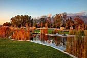NATURAL SWIMMING POND GARDEN, ITALY BY GPT STUDIO, FALL, AUTUMN, OCTOBER, DECKING, SCULPTURE BY LEON BRONSTEIN, POOL, POND, BORROWED LANDSCAPE, TYPHA LAXMANNII