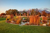 NATURAL SWIMMING POND GARDEN, ITALY BY GPT STUDIO, FALL, AUTUMN, OCTOBER, POOL, POND, BORROWED LANDSCAPE, TYPHA LAXMANNII, BOULDER, ROCK, EQUISETUM HYEMALE, STEPPING STONES