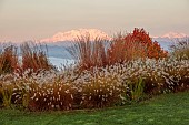 NATURAL SWIMMING POND GARDEN, ITALY BY GPT STUDIO, FALL, AUTUMN, OCTOBER: BORDER, PENNISETUM HAMELN, MOLINIA TRANSPARENT, MOUNTAINS