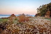 NATURAL SWIMMING POND GARDEN, ITALY BY GPT STUDIO, FALL, AUTUMN, OCTOBER: BORDER, PENNISETUM HAMELN, MOLINIA TRANSPARENT, MOUNTAINS