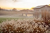 NATURAL SWIMMING POND GARDEN, ITALY BY GPT STUDIO, FALL, AUTUMN, OCTOBER: BORDER, PENNISETUM HAMELN, HOUSE, GLASS LIVING ROOM