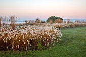 NATURAL SWIMMING POND GARDEN, ITALY BY GPT STUDIO, FALL, AUTUMN, OCTOBER: BORDER, PENNISETUM HAMELN, GRASSES