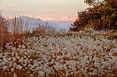 NATURAL SWIMMING POND GARDEN, ITALY BY GPT STUDIO, FALL, AUTUMN, OCTOBER: BORDER, PENNISETUM HAMELN, MOUNTAINS