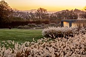 NATURAL SWIMMING POND GARDEN, ITALY BY GPT STUDIO, FALL, AUTUMN, OCTOBER: BORDER, PENNISETUM HAMELN, HOUSE