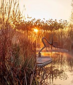 NATURAL SWIMMING POND GARDEN, ITALY BY GPT STUDIO, FALL, AUTUMN, OCTOBER, NATURAL SWIMMING POND, POOL, REFLECTIONS, PLATANUS X HISPANICA, DECKING, SCULPTURE BY LEON BRONSTEIN