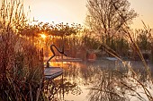 NATURAL SWIMMING POND GARDEN, ITALY BY GPT STUDIO, FALL, AUTUMN, OCTOBER, NATURAL SWIMMING POND, POOL, REFLECTIONS, PLATANUS X HISPANICA, DECKING, SCULPTURE BY LEON BRONSTEIN