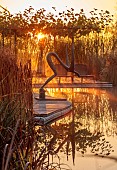 NATURAL SWIMMING POND GARDEN, ITALY BY GPT STUDIO, FALL, AUTUMN, OCTOBER, NATURAL SWIMMING POND, POOL, REFLECTIONS, PLATANUS X HISPANICA, DECKING, SCULPTURE BY LEON BRONSTEIN