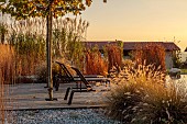 NATURAL SWIMMING POND GARDEN, ITALY BY GPT STUDIO, FALL, AUTUMN, OCTOBER, PLATANUS X HISPANICA, PENNISETUM HAMELN, MISCANTHUS STRICTUS, DECKING, LOUNGERS