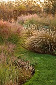 NATURAL SWIMMING POND GARDEN, ITALY BY GPT STUDIO, FALL, AUTUMN, OCTOBER, BORDER, GRASSES, MOLINIA TRANSPARENT, MISCANTHUS MORNING LIGHT, LAWN, PENNISETUM HAMELN