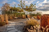 NATURAL SWIMMING POND GARDEN, ITALY BY GPT STUDIO, AUTUMN, OCTOBER, PLATANUS X HISPANICA, PENNISETUM HAMELN, MISCANTHUS FLORIDULUS GIGANTEUS, DECKING, LOUNGERS, STEPPING STONES