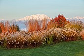 NATURAL SWIMMING POND GARDEN, ITALY BY GPT STUDIO, FALL, AUTUMN, OCTOBER: BORDER, PENNISETUM HAMELN, MOLINIA TRANSPARENT, MOUNTAINS