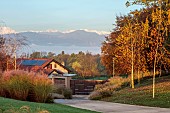 NATURAL SWIMMING POND GARDEN, ITALY BY GPT STUDIO, FALL, AUTUMN, OCTOBER, THE GARDEN ENTRANCE, DRIVEWAY, GATE, BIRCHES, MISCANTHUS MORNING LIGHT