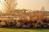 NATURAL SWIMMING POND GARDEN, ITALY BY GPT STUDIO, FALL, AUTUMN, OCTOBER: GRASSES, ASTER PRINGLEI MONTE CASSINO, PENNISETUM HAMELN, SUNRISE
