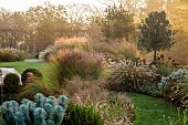 NATURAL SWIMMING POND GARDEN, ITALY BY GPT STUDIO, OCTOBER, BORDER, GRASSES, BOX BALLS, MOLINIA TRANSPARENT, MISCANTHUS MORNING LIGHT, LAWN, PENNISETUM HAMELN, EUPHORBIA