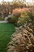 NATURAL SWIMMING POND GARDEN, ITALY BY GPT STUDIO, FALL, AUTUMN, OCTOBER, BORDER, GRASSES, MOLINIA TRANSPARENT, MISCANTHUS MORNING LIGHT, LAWN, PENNISETUM HAMELN
