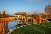 NATURAL SWIMMING POND GARDEN, ITALY BY GPT STUDIO, AUTUMN, OCTOBER, PLATANUS X HISPANICA, DECKING, LOUNGERS, POOL, POND, WATER, REFLECTED, REFLECTIONS, LAWN