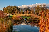 NATURAL SWIMMING POND GARDEN, ITALY BY GPT STUDIO, AUTUMN, OCTOBER, POOL, WATER, REFLECTED, REFLECTIONS, STEPPING STONES, BOULDERS, ROCKS, EQUISETUM HYEMALE, BORROWED LANDSCAPE