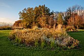 NATURAL SWIMMING POND GARDEN, ITALY BY GPT STUDIO, FALL, AUTUMN, OCTOBER: GRASSES, PENNISETUM HAMELN, ASTER PRINGLEI MONTE CASSINO, BORDER, LAWN
