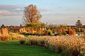 NATURAL SWIMMING POND GARDEN, ITALY BY GPT STUDIO, FALL, AUTUMN, OCTOBER: SUNRISE, GRASSES, PENNISETUM HAMELN, LAWN, GRASSM POND, POOL