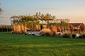 NATURAL SWIMMING POND GARDEN, ITALY BY GPT STUDIO, AUTUMN, OCTOBER, PLATANUS X HISPANICA, PENNISETUM HAMELN, DECKING, LOUNGERS, POOL, POND, WATER, LAWN