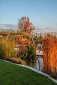 NATURAL SWIMMING POND GARDEN, ITALY BY GPT STUDIO, AUTUMN, OCTOBER, PLATANUS X HISPANICA, DECKING, POOL, POND, WATER, SCULPTURE BY LEON BRONSTEIN, LAWN
