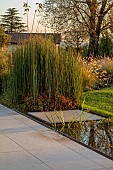 NATURAL SWIMMING POND GARDEN, ITALY BY GPT STUDIO, FALL, AUTUMN, OCTOBER, WATER, RILL, POND, POOL, STEPPING STONE, EQUISETUM HYEMALE, PAVING, PATIO
