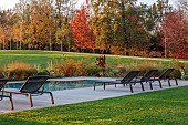 NATURAL SWIMMING POND GARDEN, ITALY BY GPT STUDIO, FALL, AUTUMN, OCTOBER, SWIMMING POOL, WATER, DECKING, SCULPTURE BY LEON BRONSTEIN
